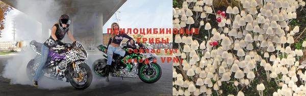 2c-b Горняк