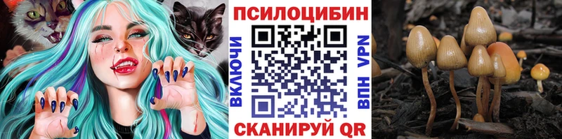 Галлюциногенные грибы GOLDEN TEACHER  МЕГА   Железноводск 